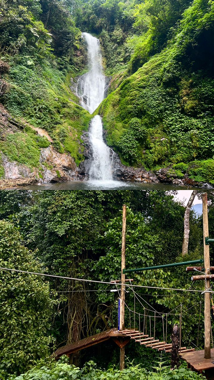 1-Day Nyungwe National Park Tour – Gisakura Experience